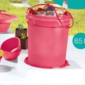 Tupperware Giant Canister with cariolier